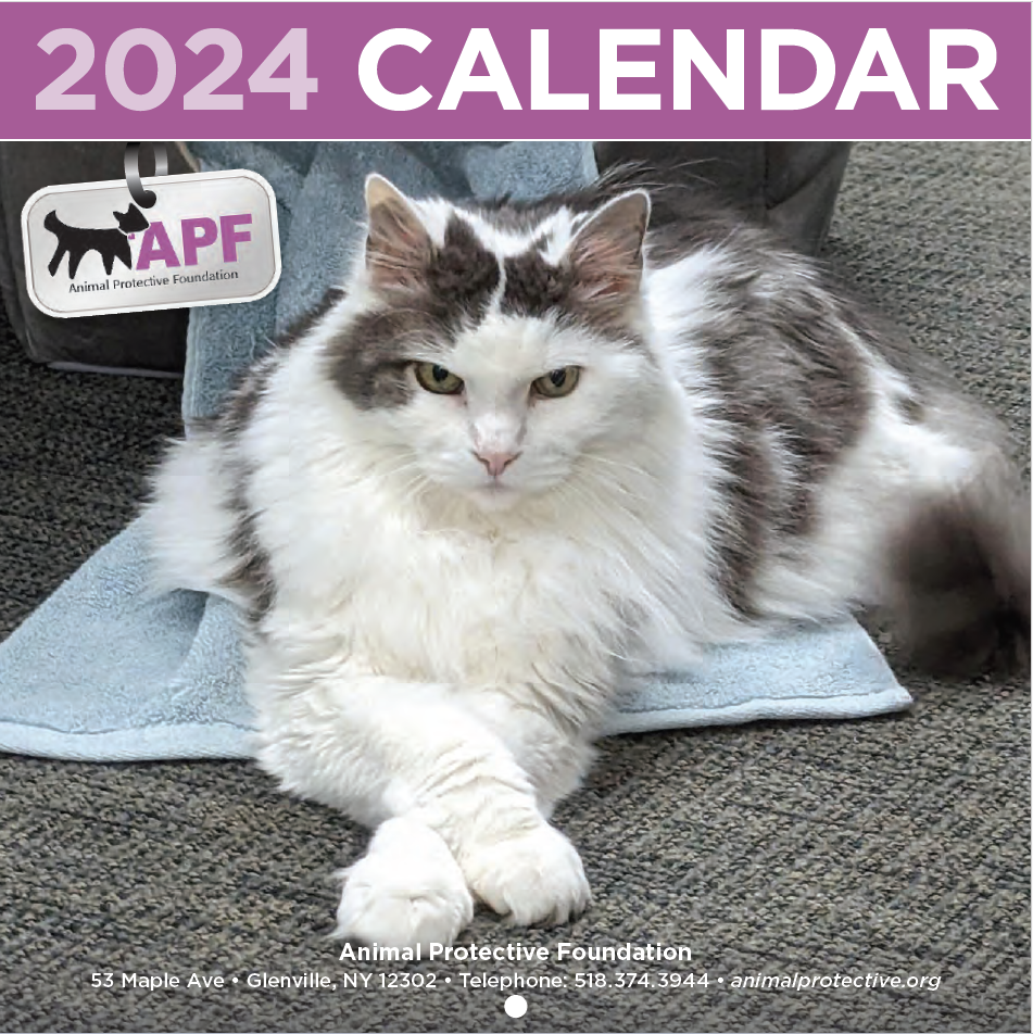 Sammy from Capitaland Motors