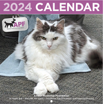 Sammy from Capitaland Motors