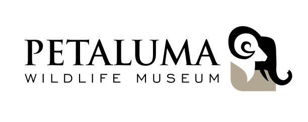 Petaluma Wildlife Museum