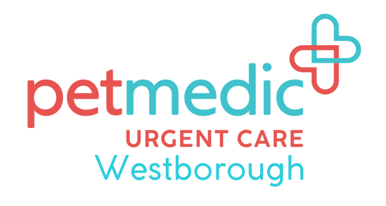 PetMedic Urgent Care Westborough