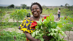 Philomene, farmer, DRC