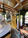 Cody Trolley Tour