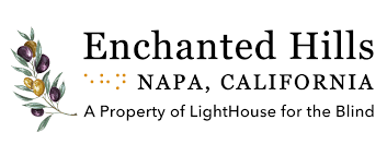 LightHouse for the Blind and Visually Impaired