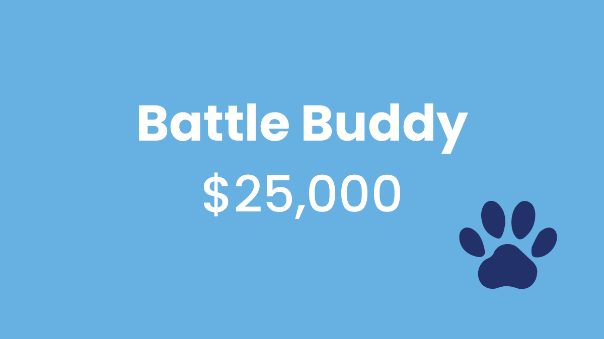 Battle Buddy