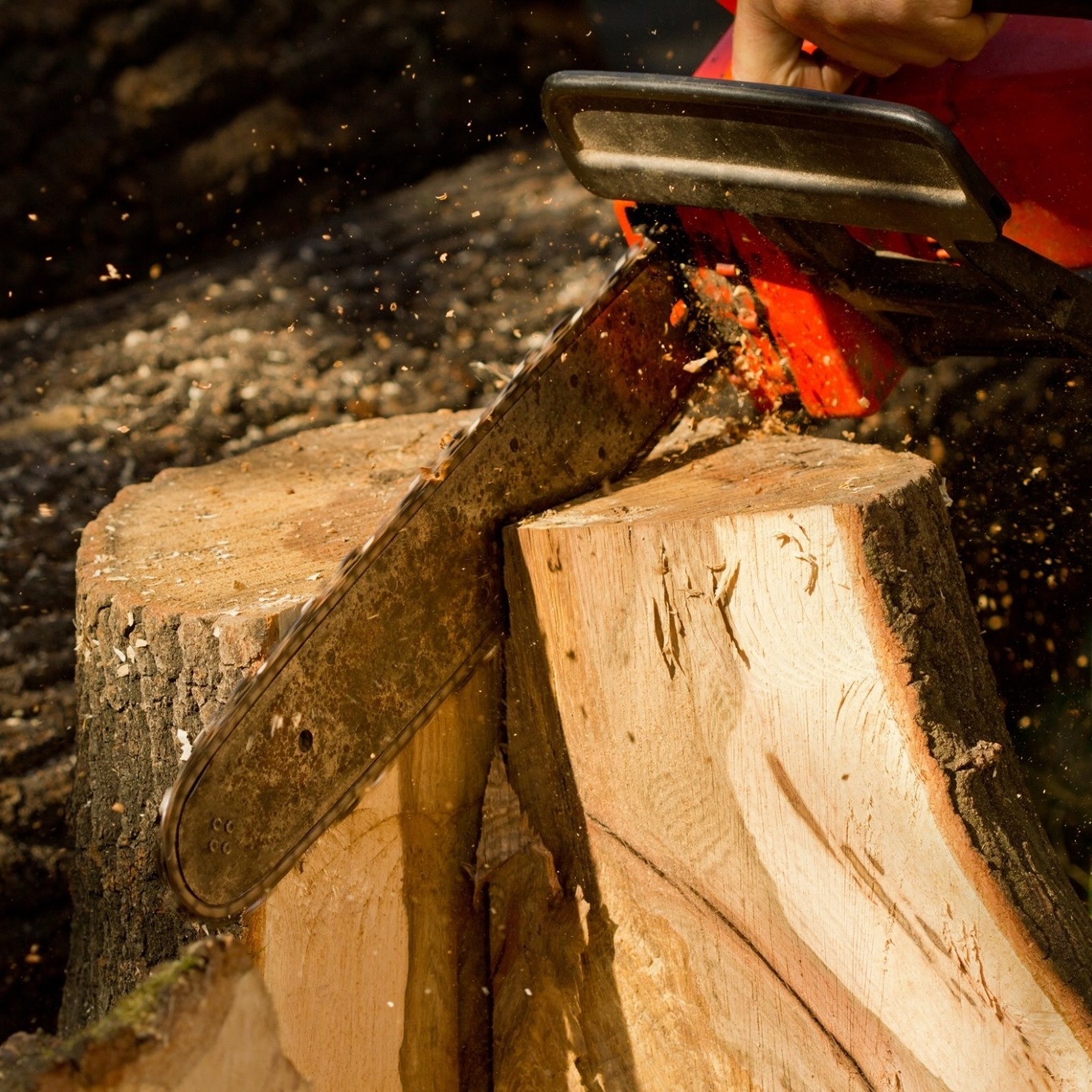 Planetary Tree Service 