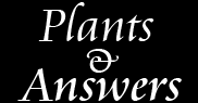 Plants & Answers