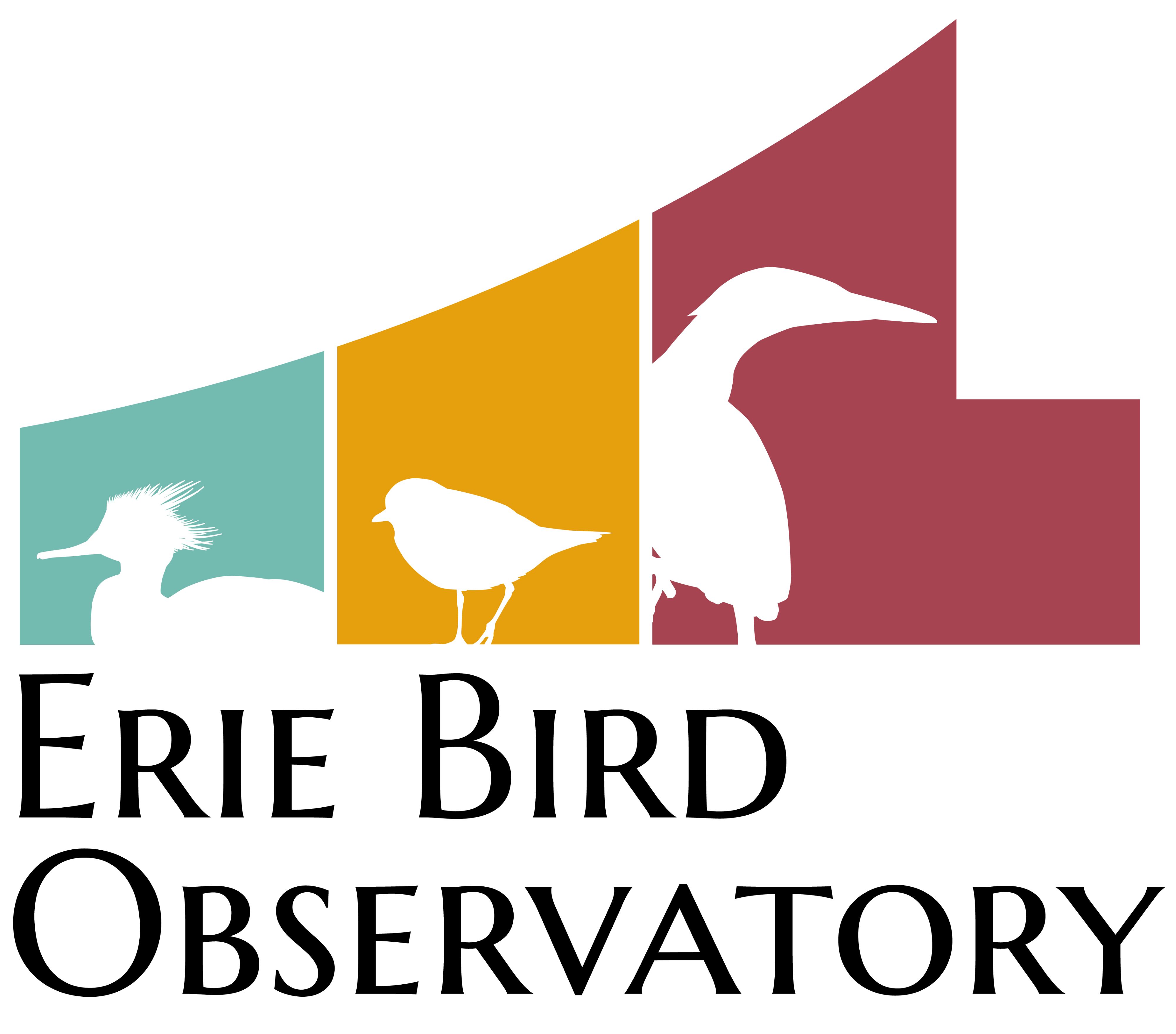 Erie Bird Observatory