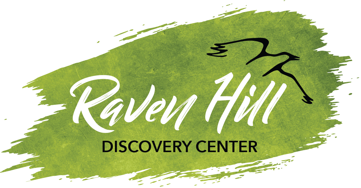Raven Hill Discovery Center