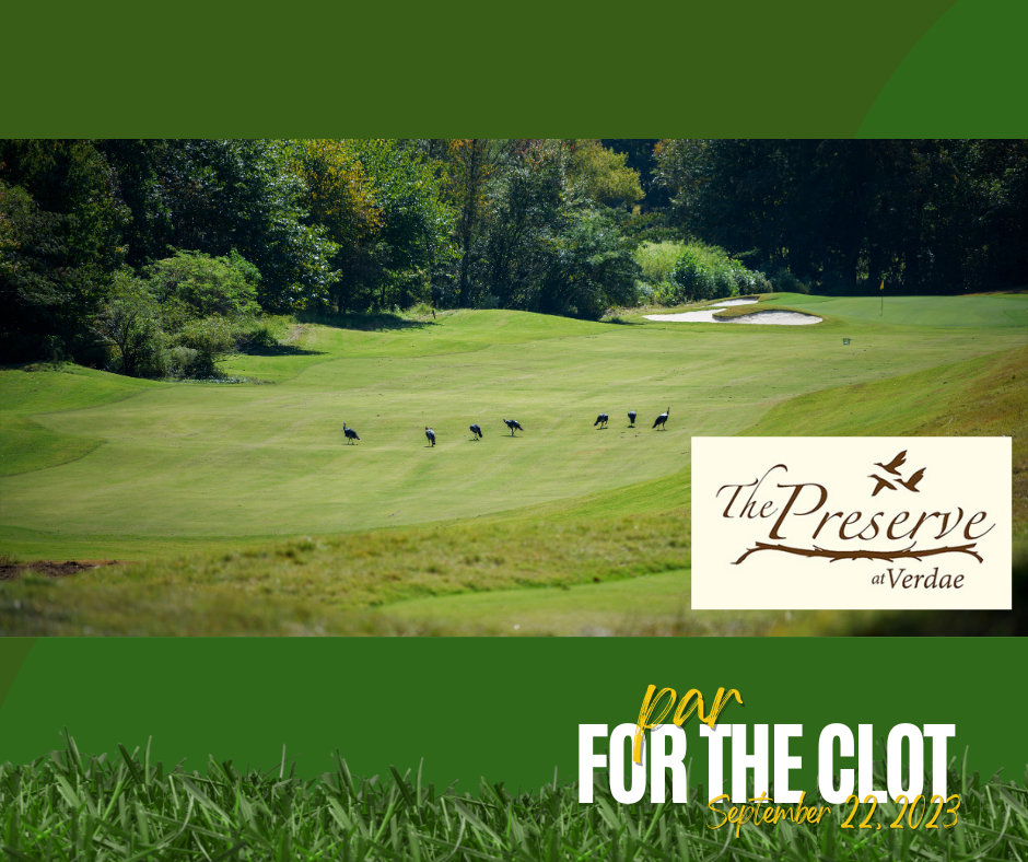 The Preserve at Verdae