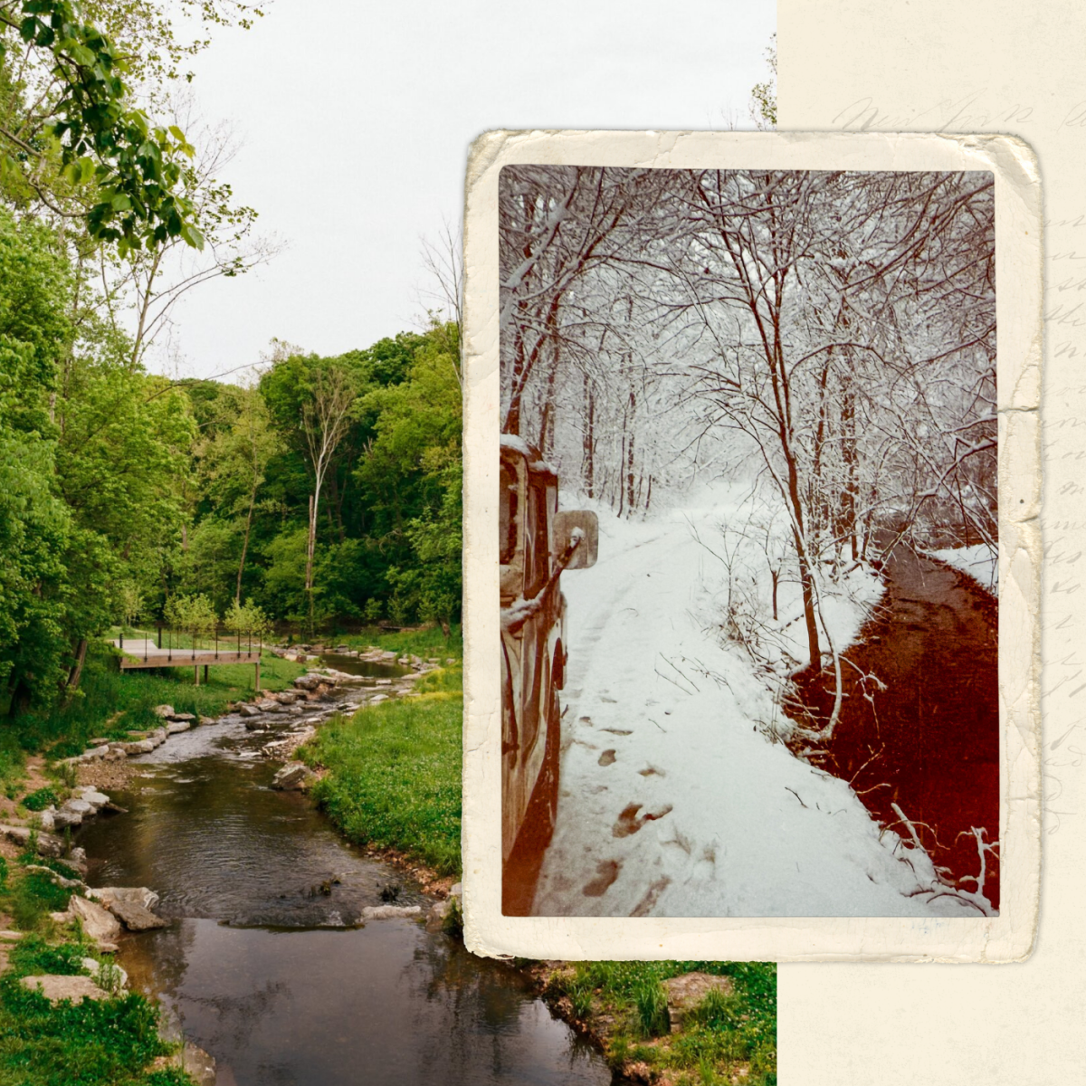 Preserving What Could Have Been Lost