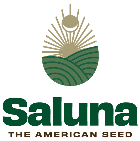 Saluna