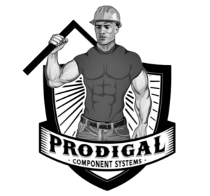 Prodigal Systems 