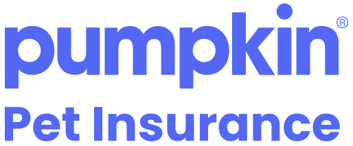 Pumpkin Pet Insurance