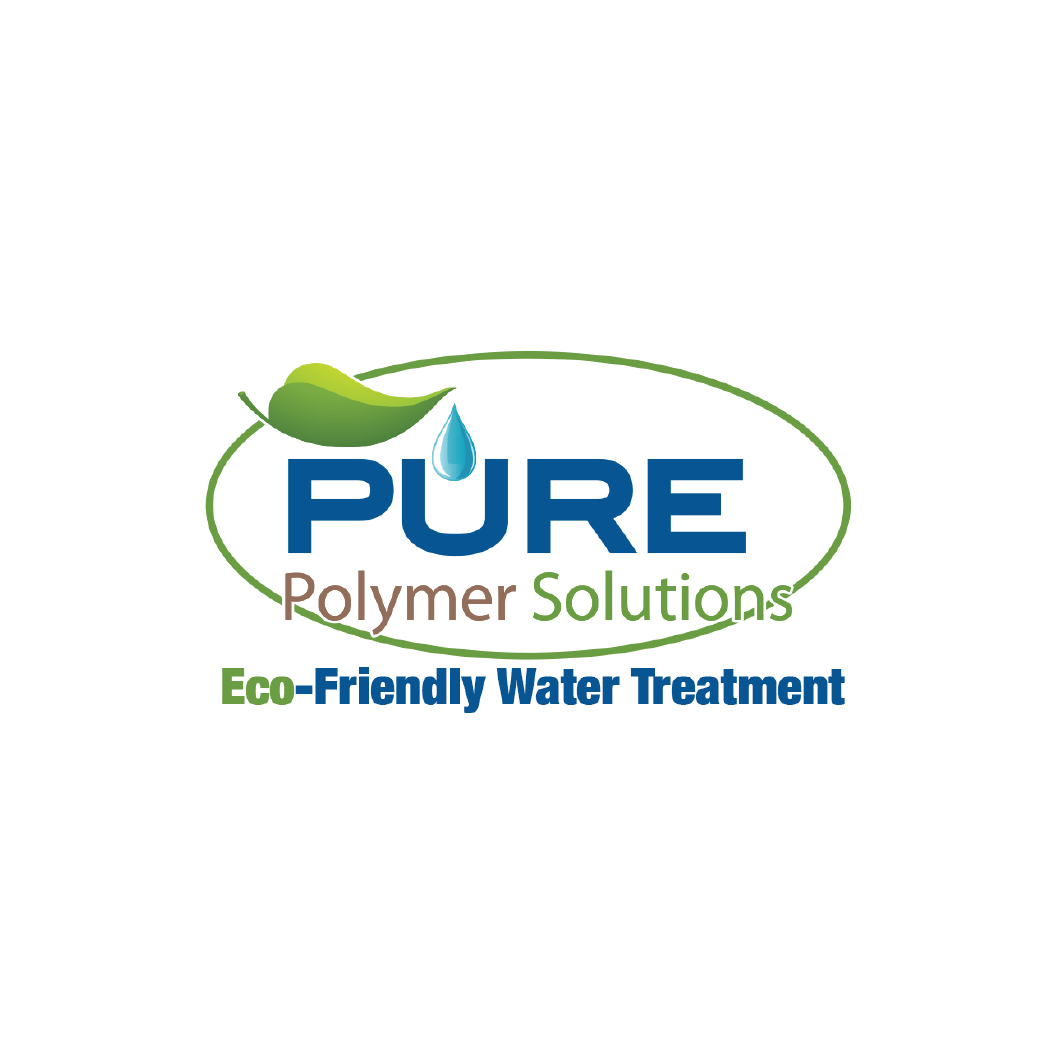 Pure Polymer Solutions