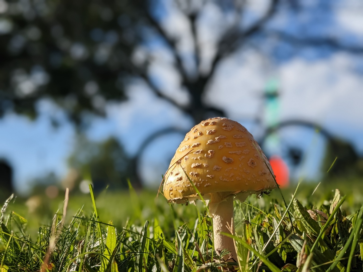 Morning Commute, October 2025