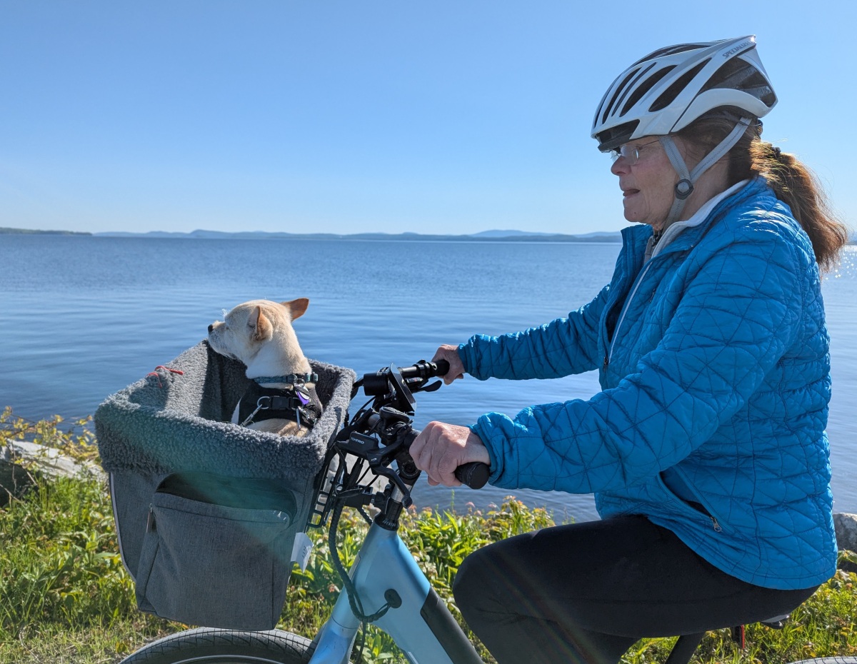 The Colchester Causeway, VT - Fellow Travelers