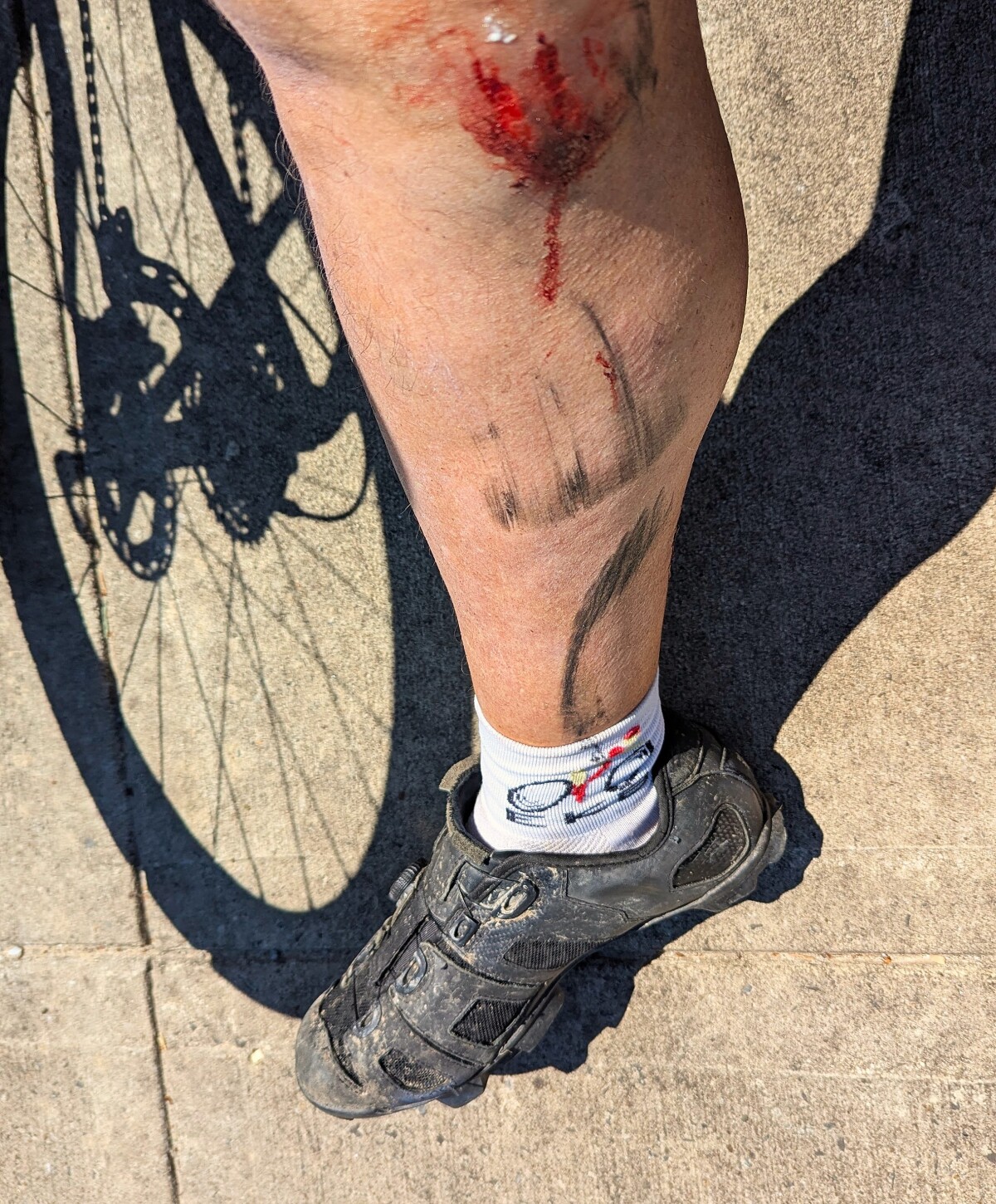 Temporary Tattoo, Hero Islands, VT, Bos/tréal 2025