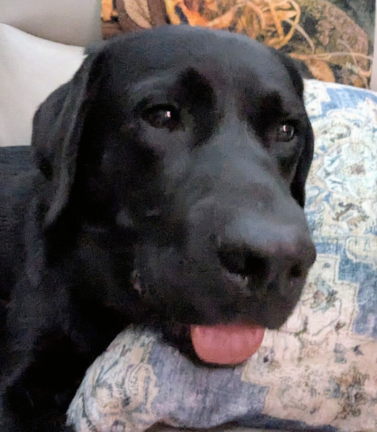 Tongue out Tuesday