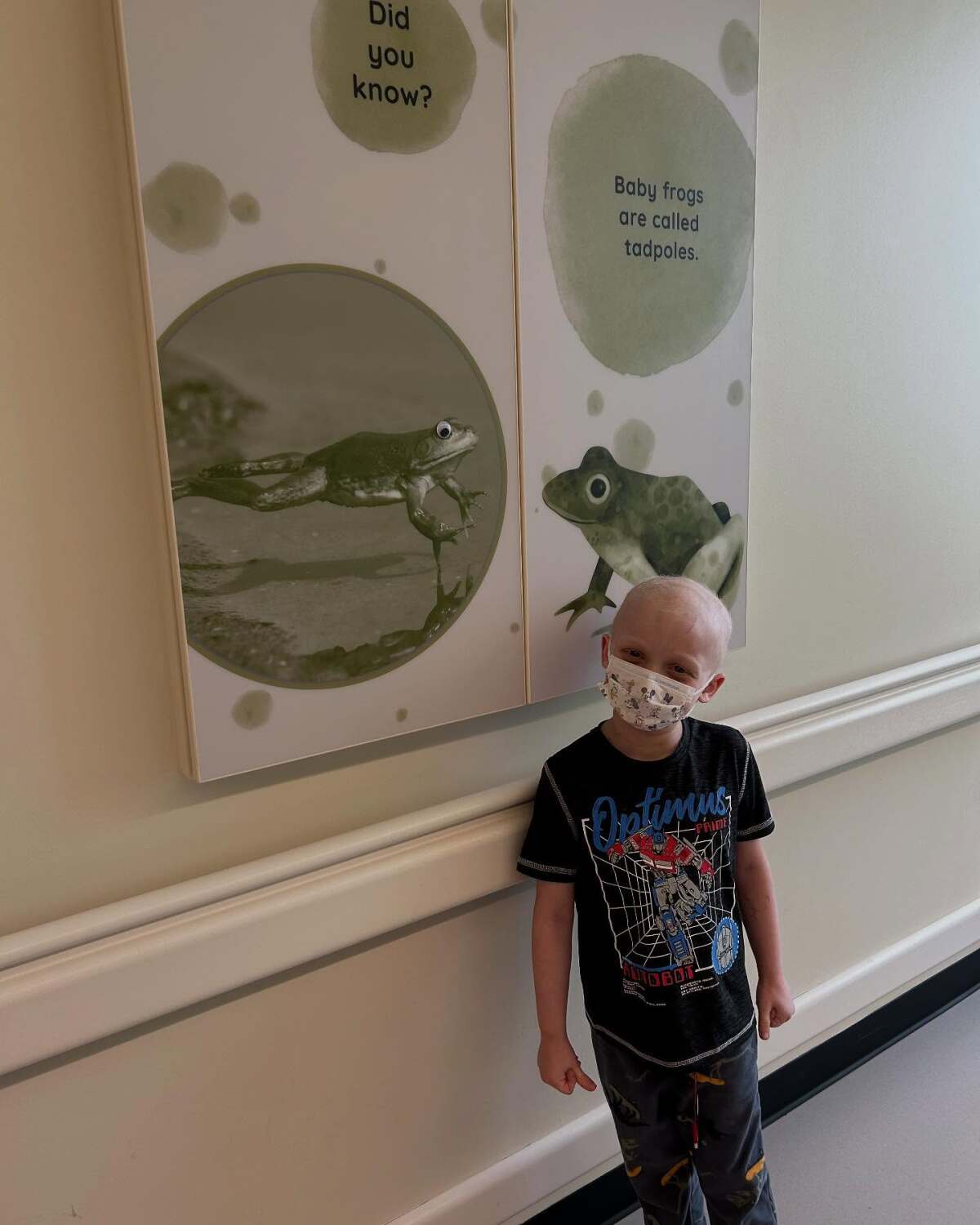 Rumor has it that these googly eyes can still be found on some of the animals..