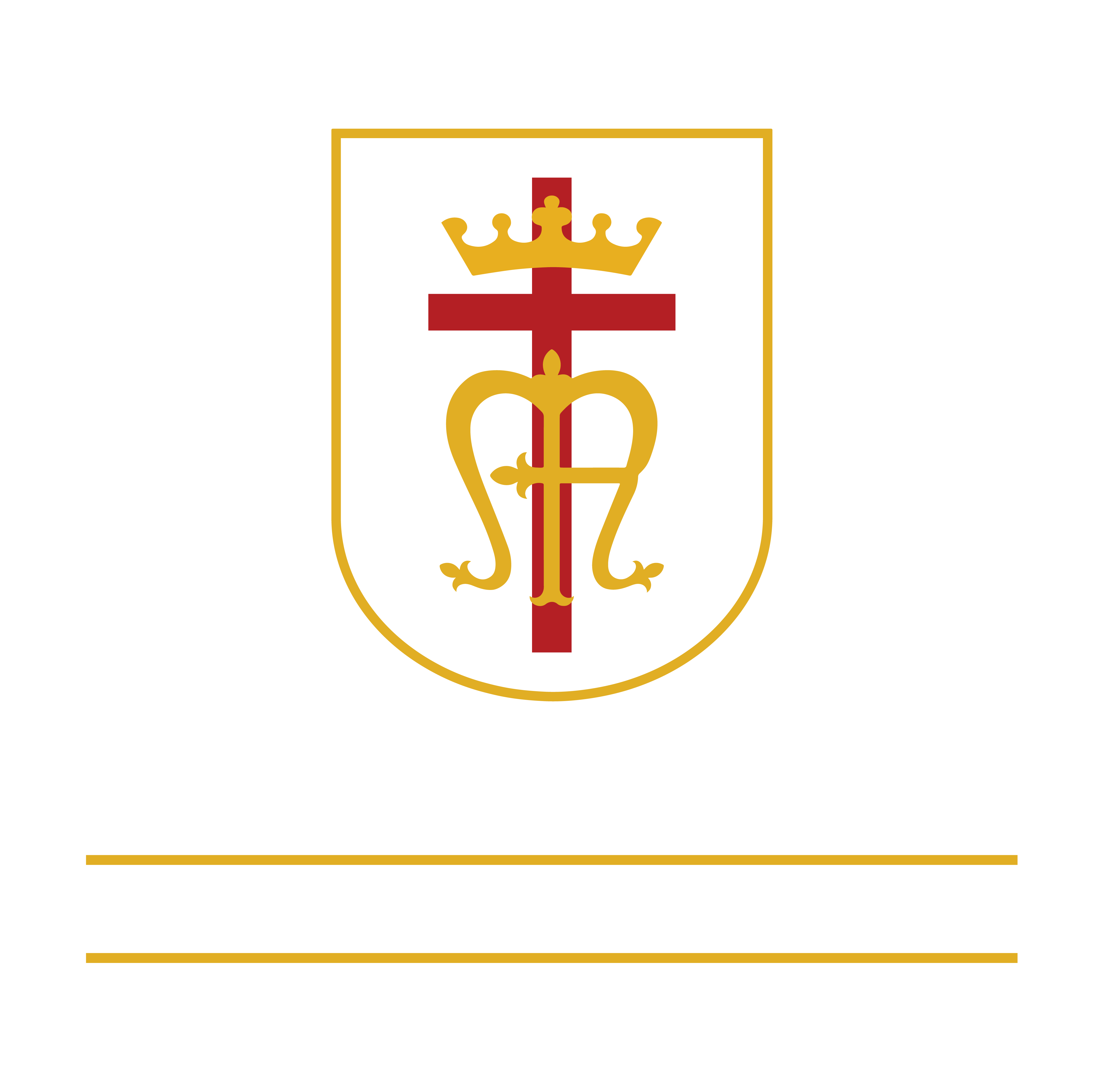 REGINA CAELI ACADEMY INC