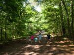 Red Mountain Park