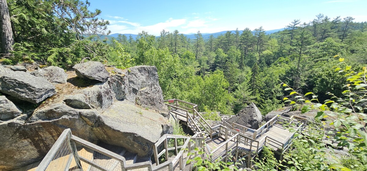 Rosa's Warriors in the White Mountains