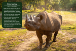 Rhino Spa Day
