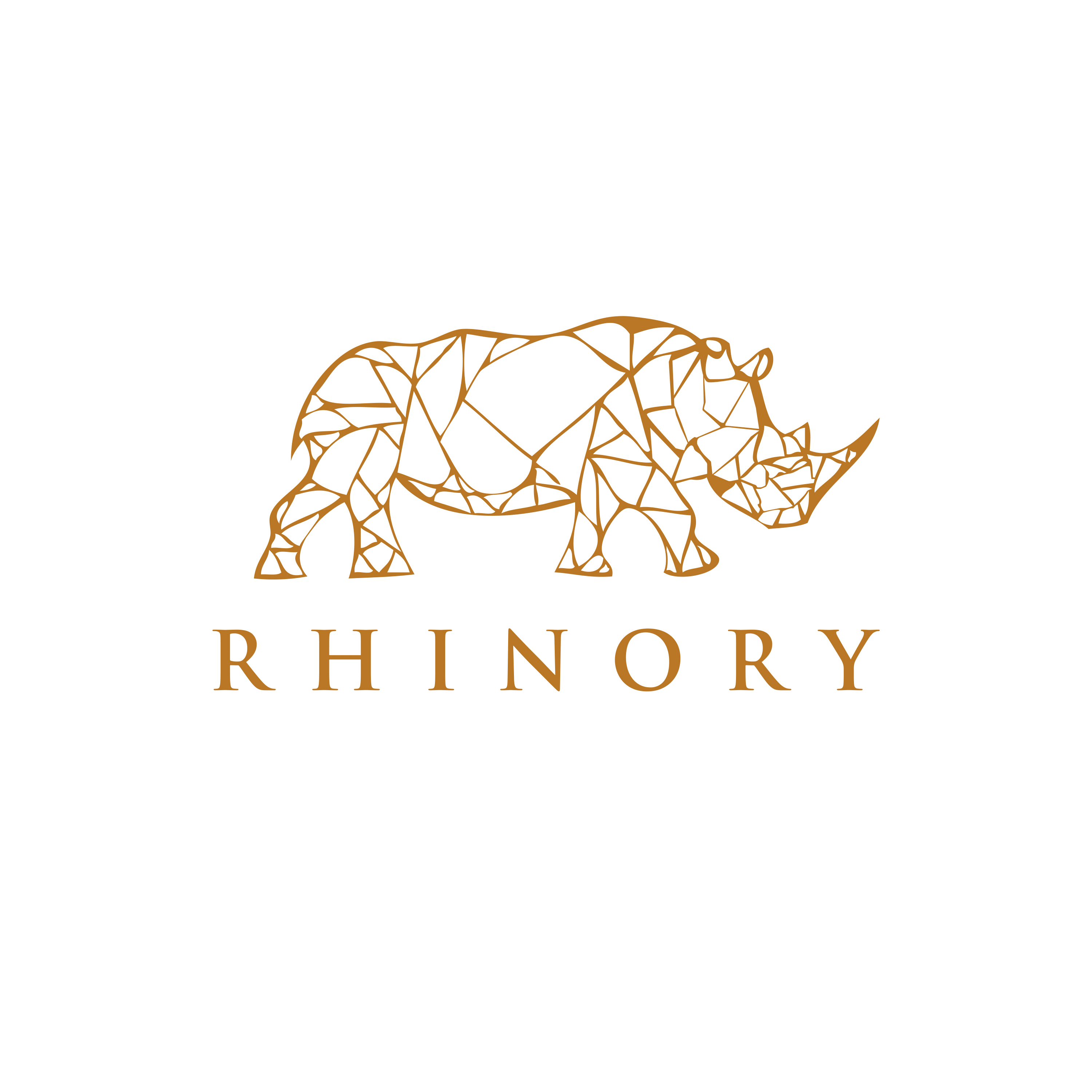 Rhinory