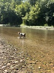 Playing in the river