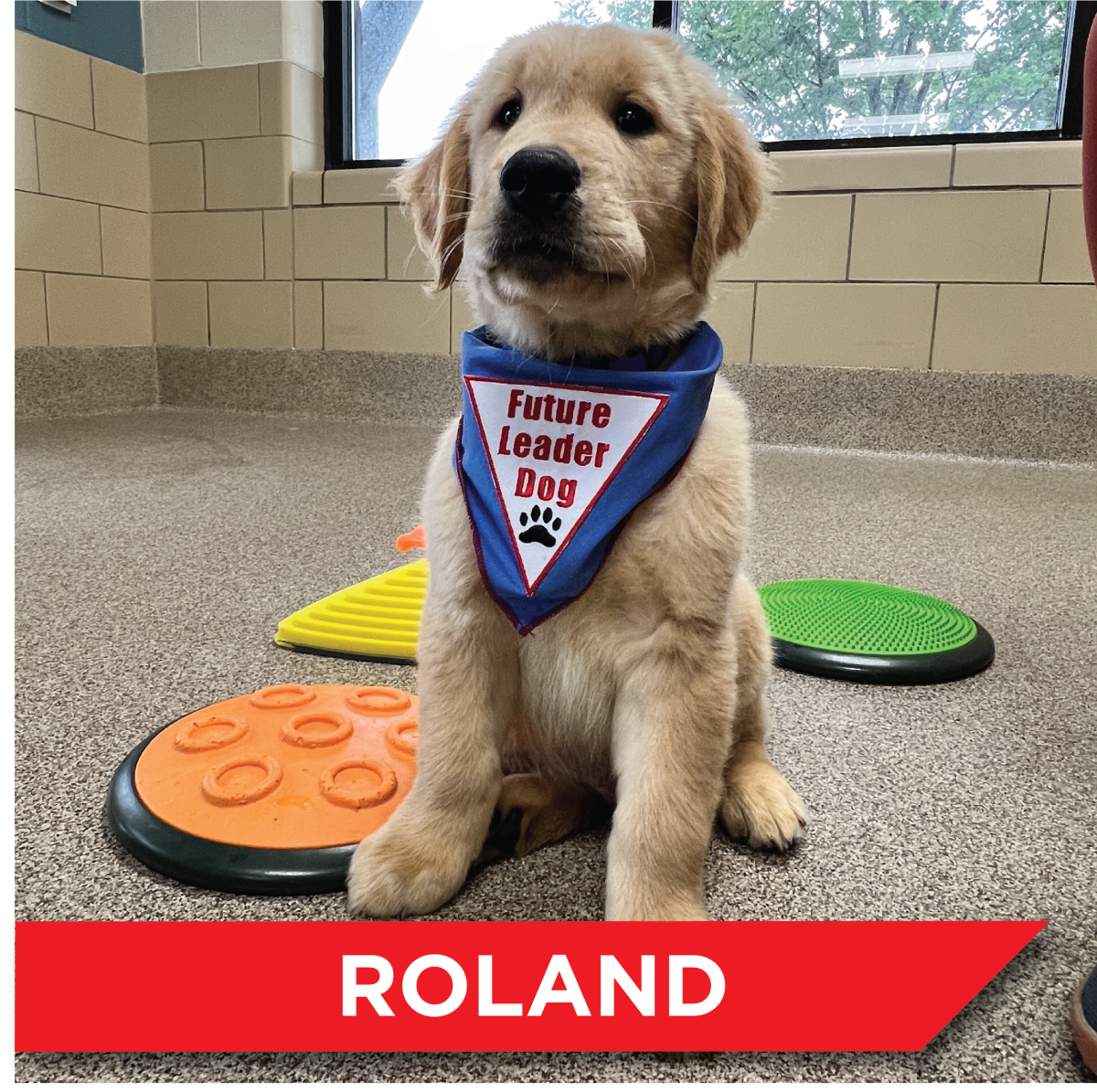 Candidate 1 - Roland