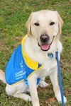 slide 6