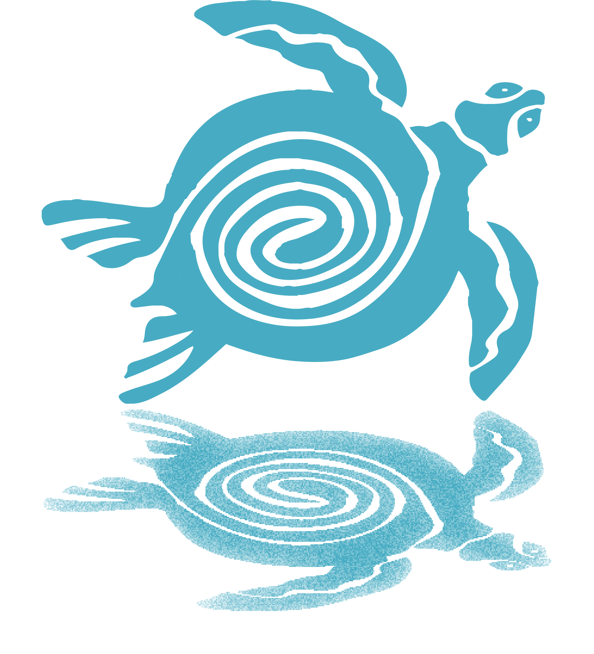 Reflections of Turtle Island, inc