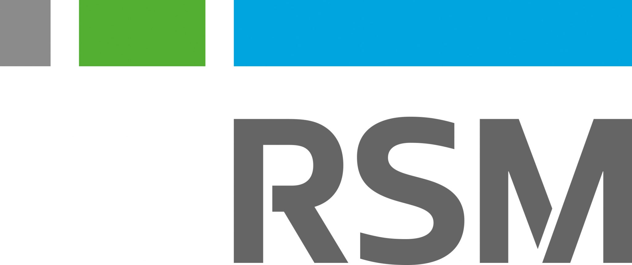 RSM LLC