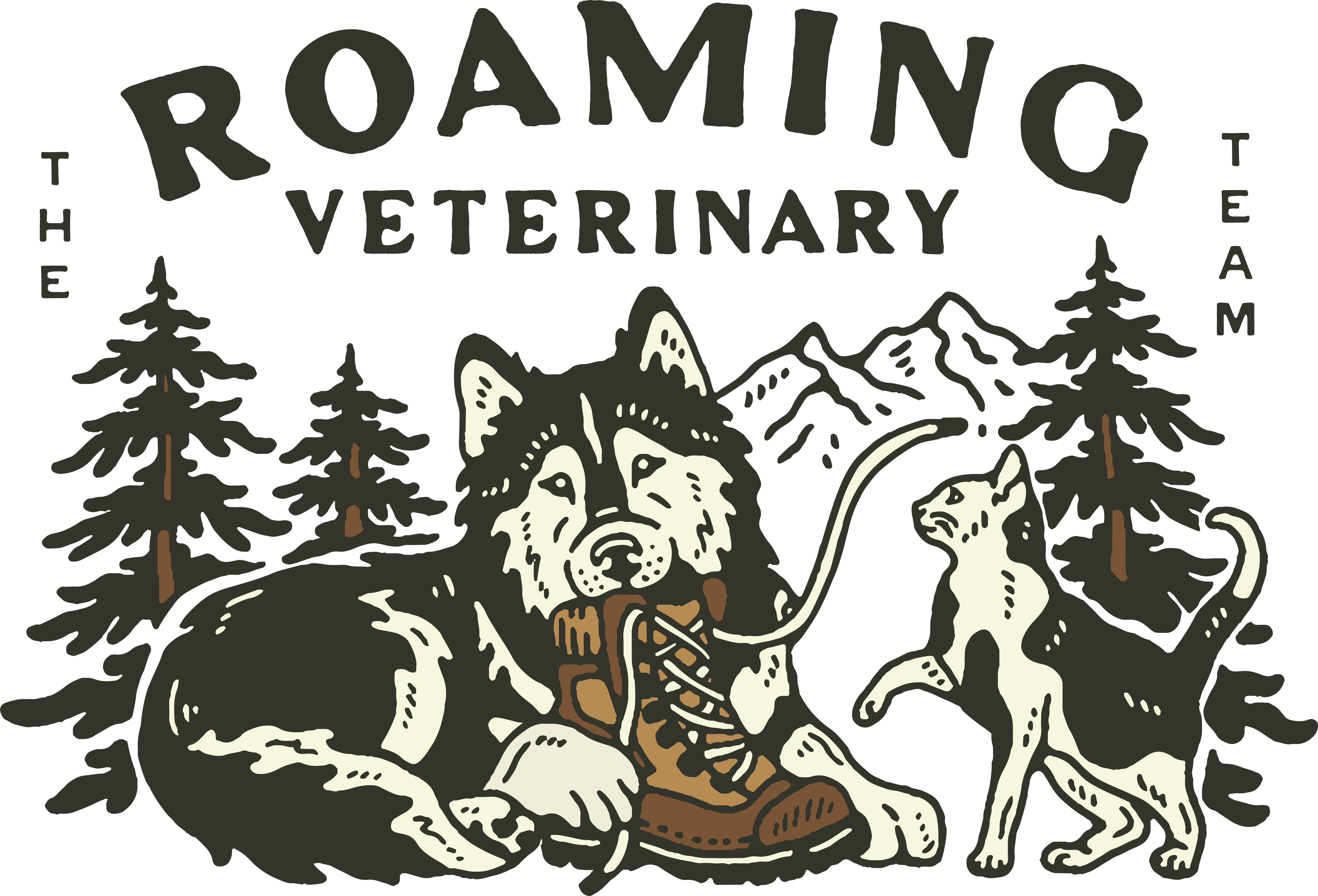 Roaming Veterinary Team