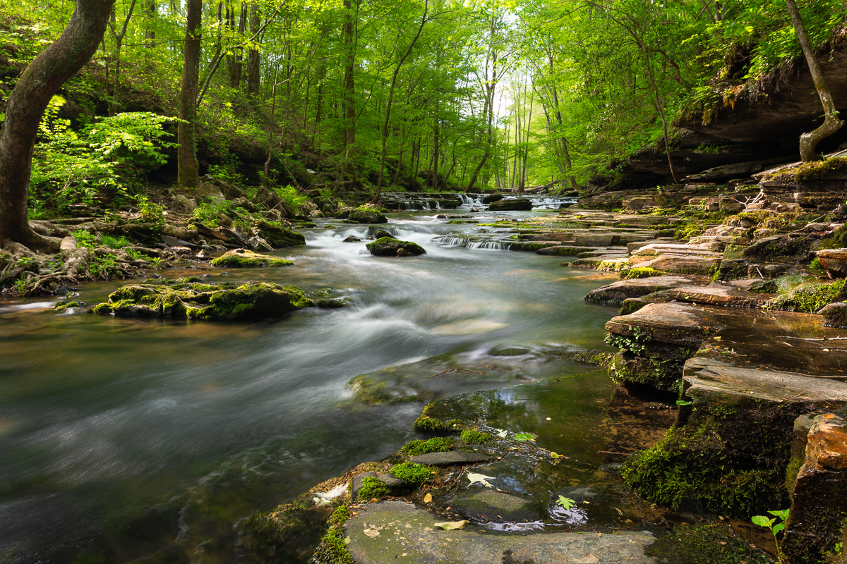 Short Springs Natural Area