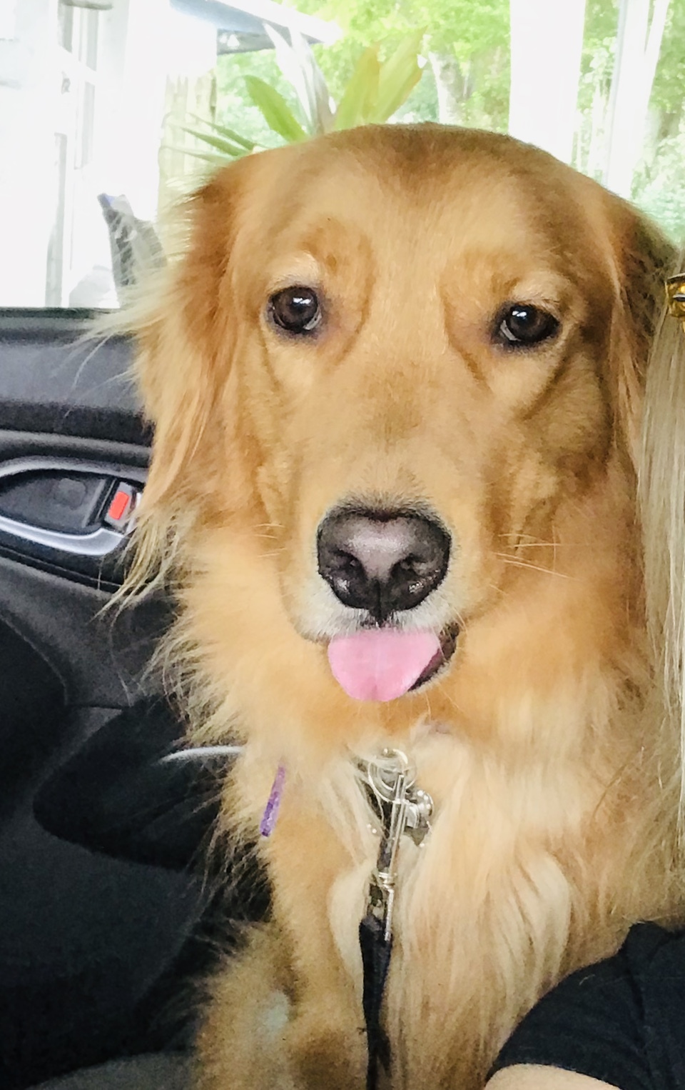 Sadie