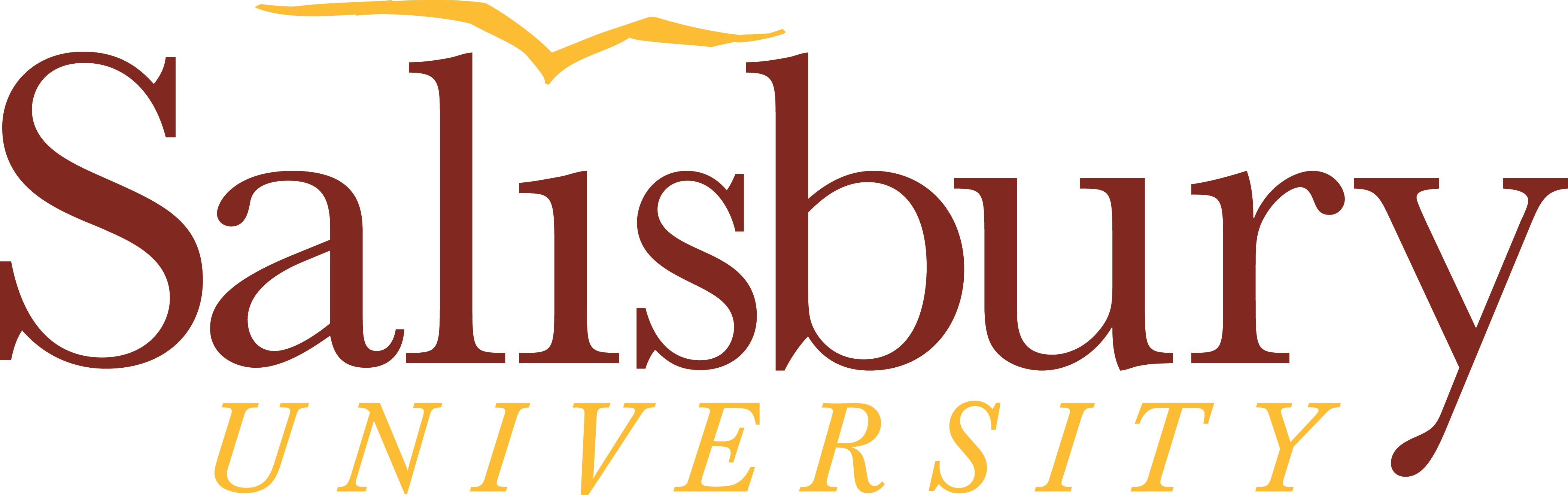 Sailsbury University 