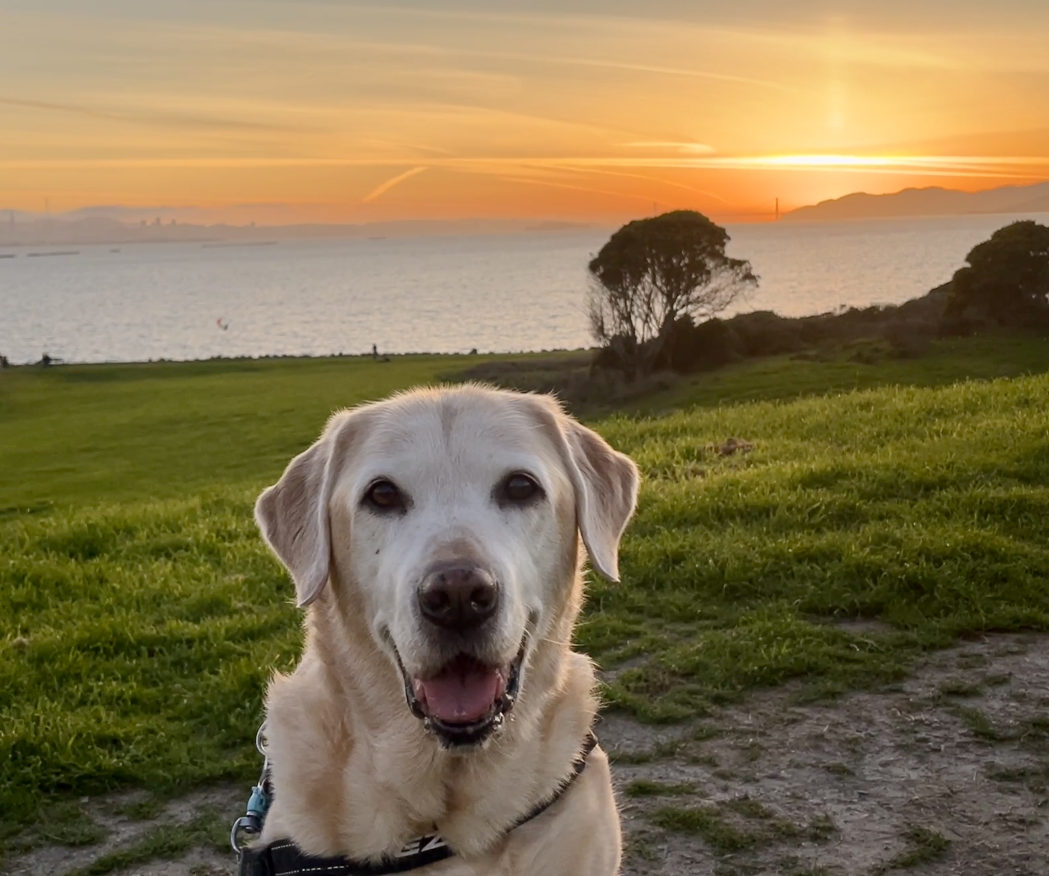 Samara Crasilneck - In Honor of Engrid - Forever In Our Hearts