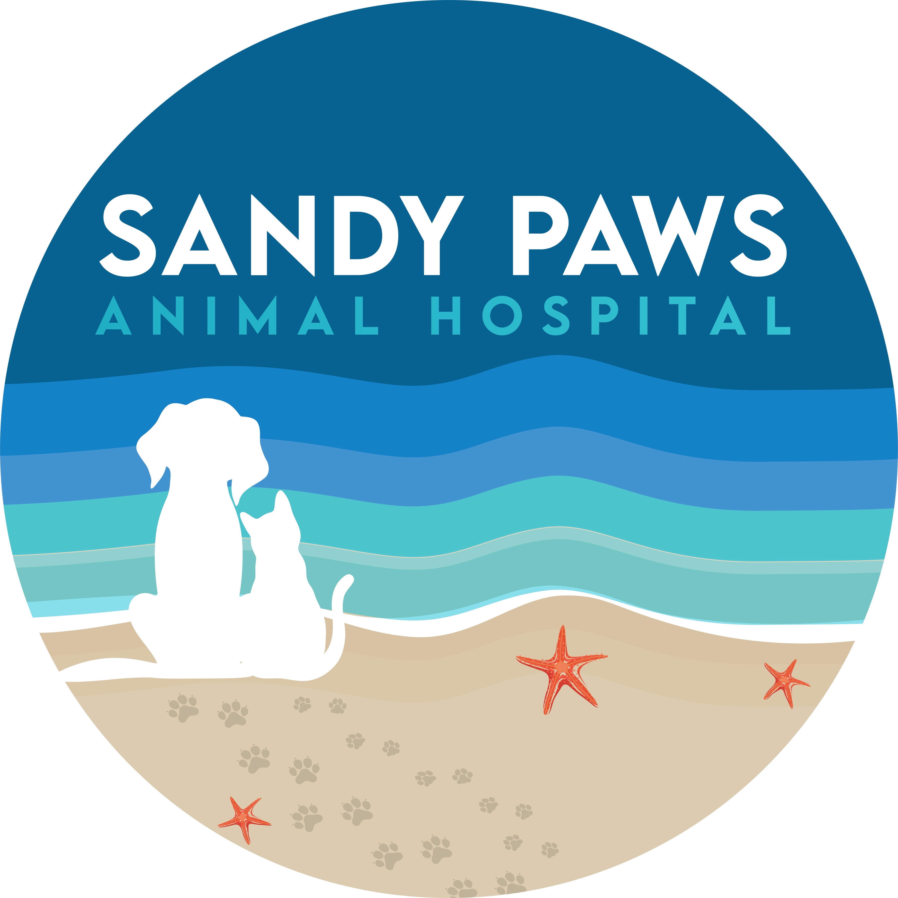 Sandy Paws Animal Hospital coming soon.  Send us your e-mail  Sandypawsftl.com