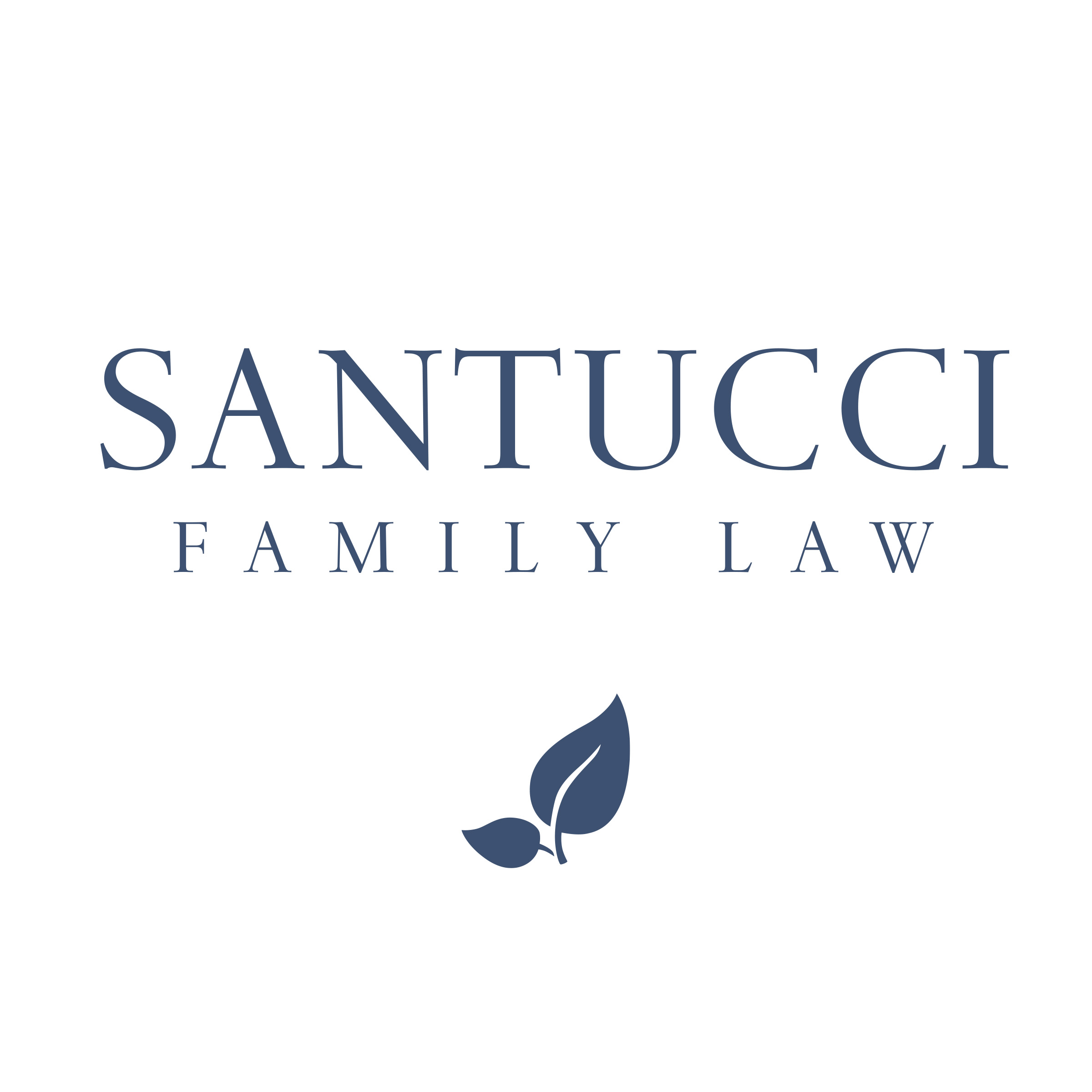 Santucci Family Law, P.C.