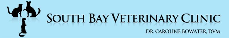 South Bay Veterinary Hospital 