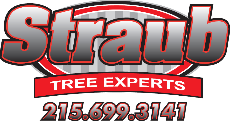 Straub Tree Experts