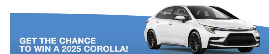 Your Ethiopian Professional Network