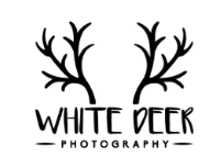 White Deer Photography