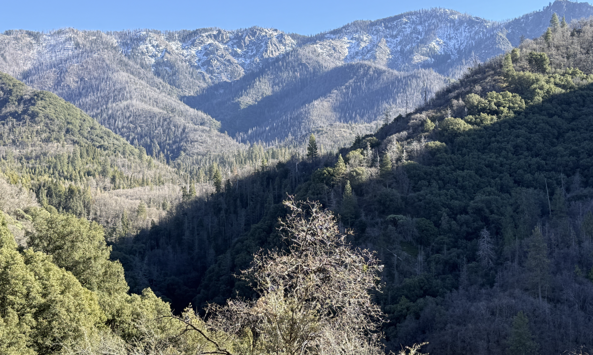 Slate Mountain - My "Home" Peak