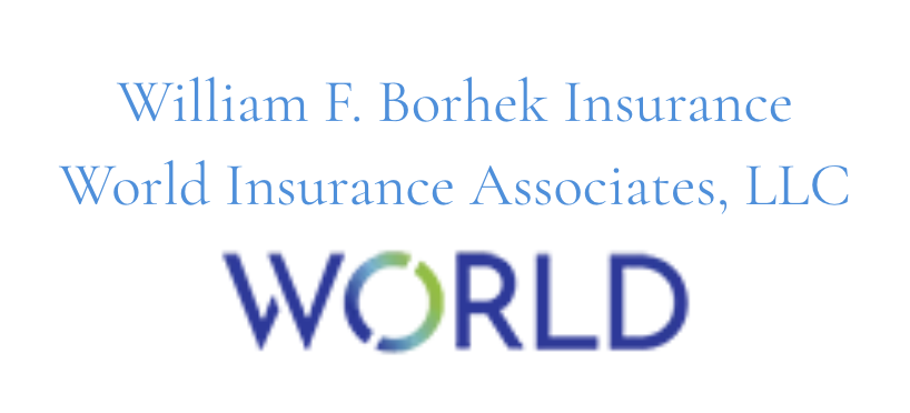William F. Borhek Insurance  World Insurance Associates, LLC