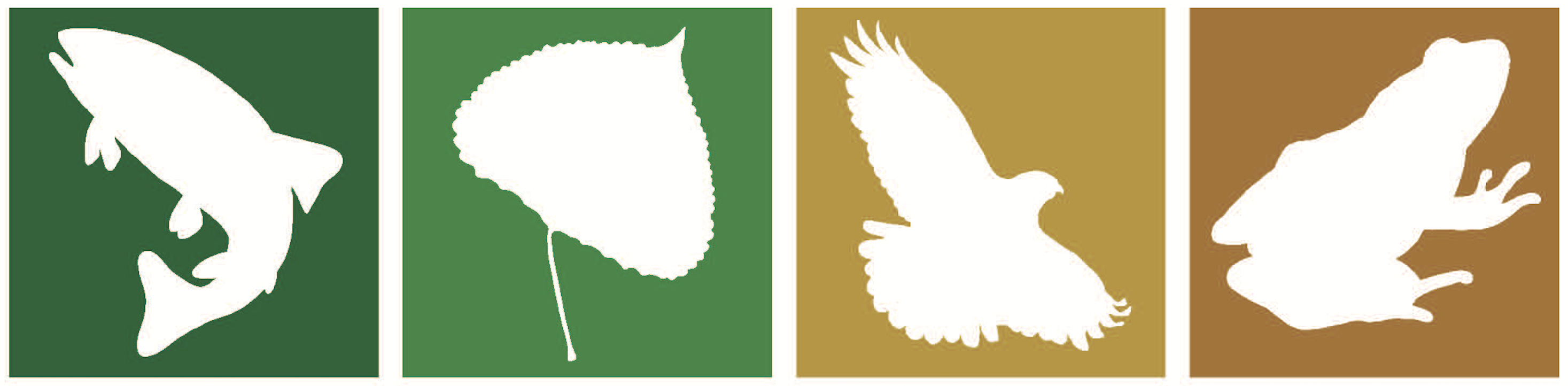 Earth Island Institute