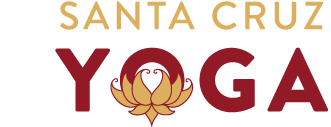 BRONZE SPONSOR