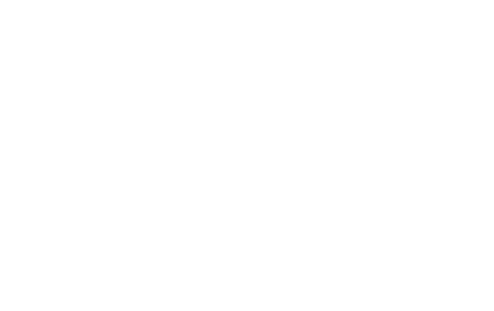 Silver Eye