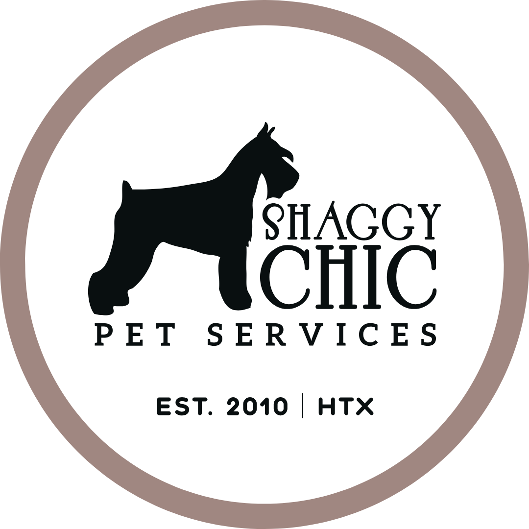 Dog Walking and Pet Sitting in Houston, TX